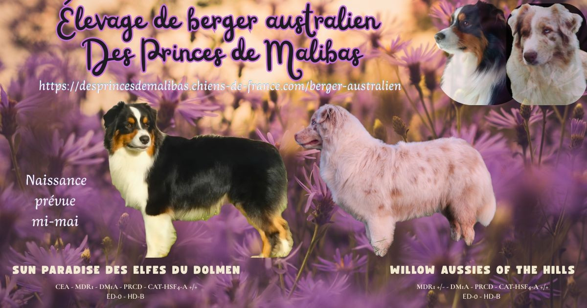 Naissance prévue mi-mai
